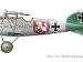 Albatros D.V “Stallion”, Jasta 5, July 1917